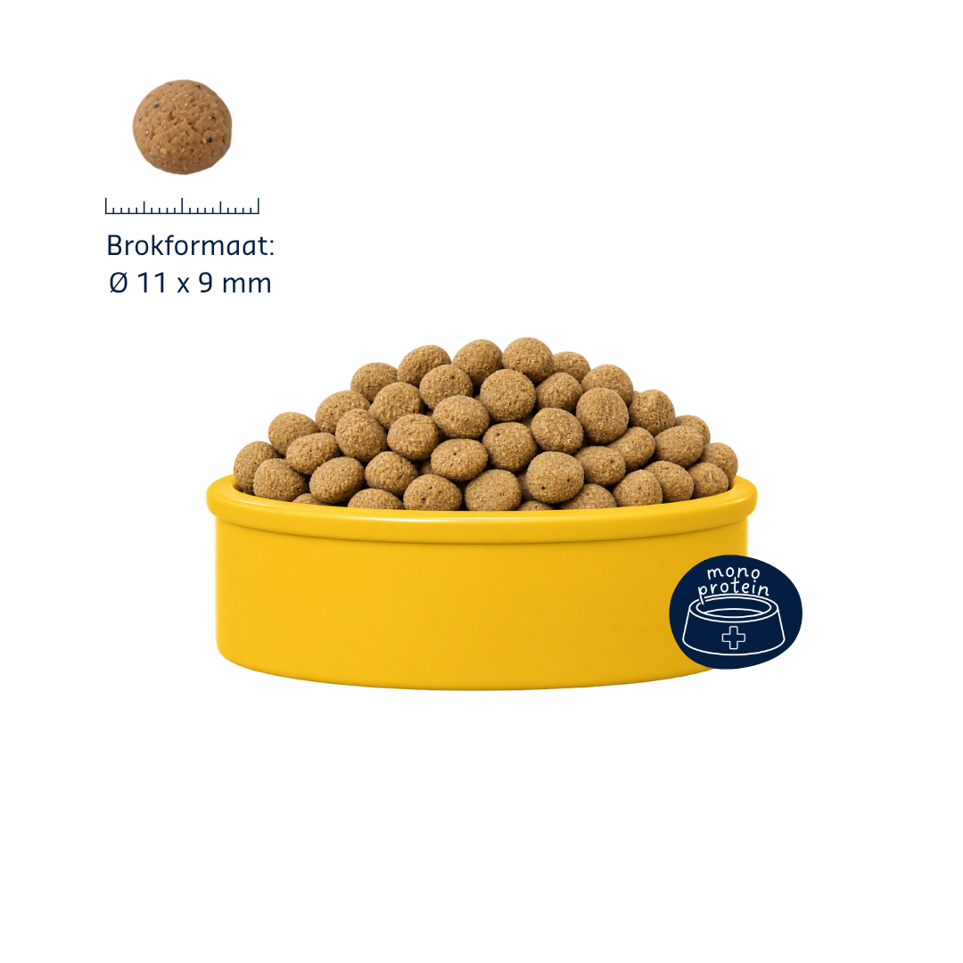 Denkadog Hypo-Allergic