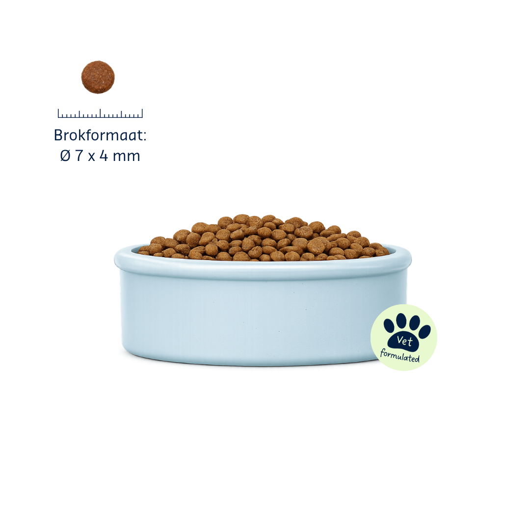 Denkacat Hypo-Sensitive