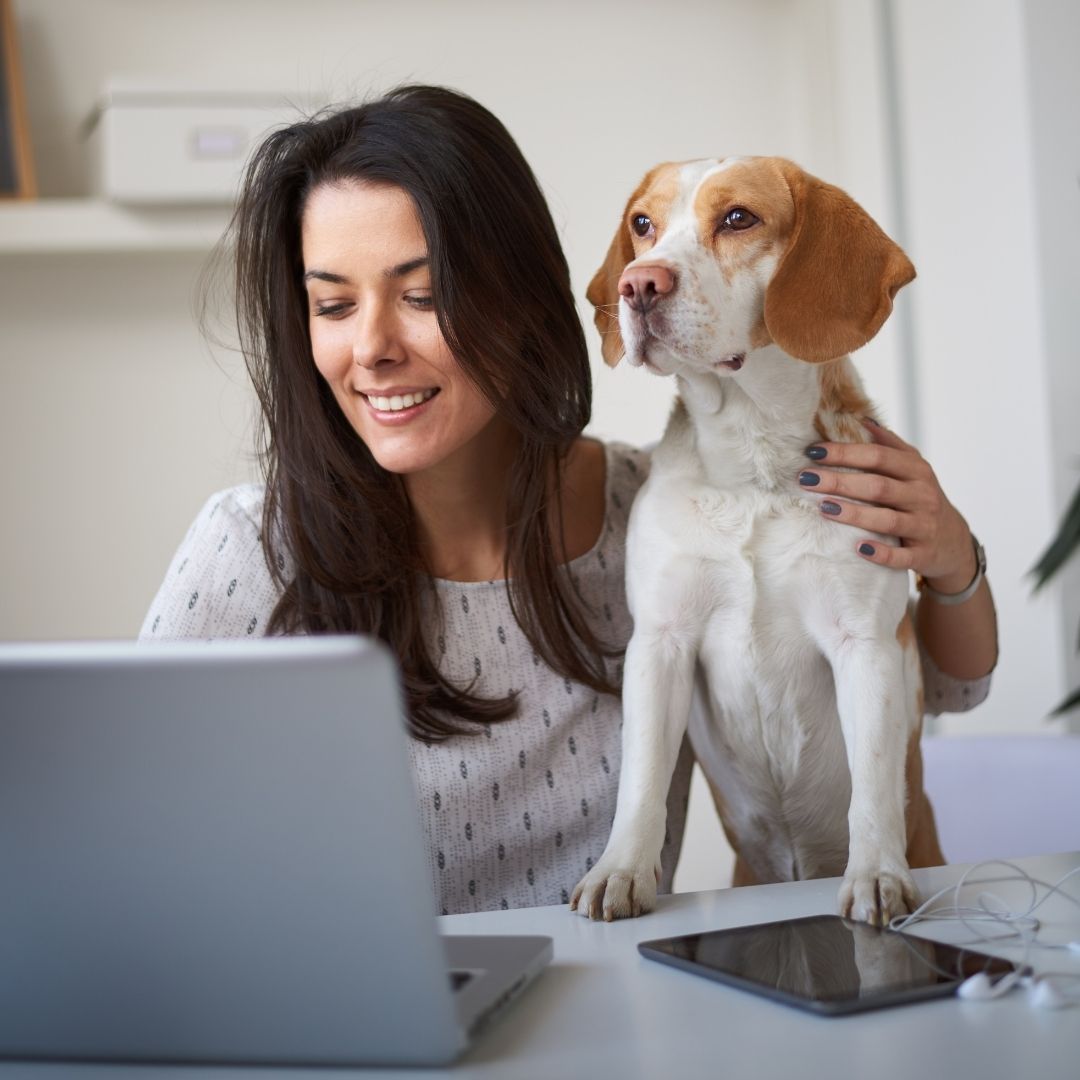 Gratis online dierenarts-afspraak