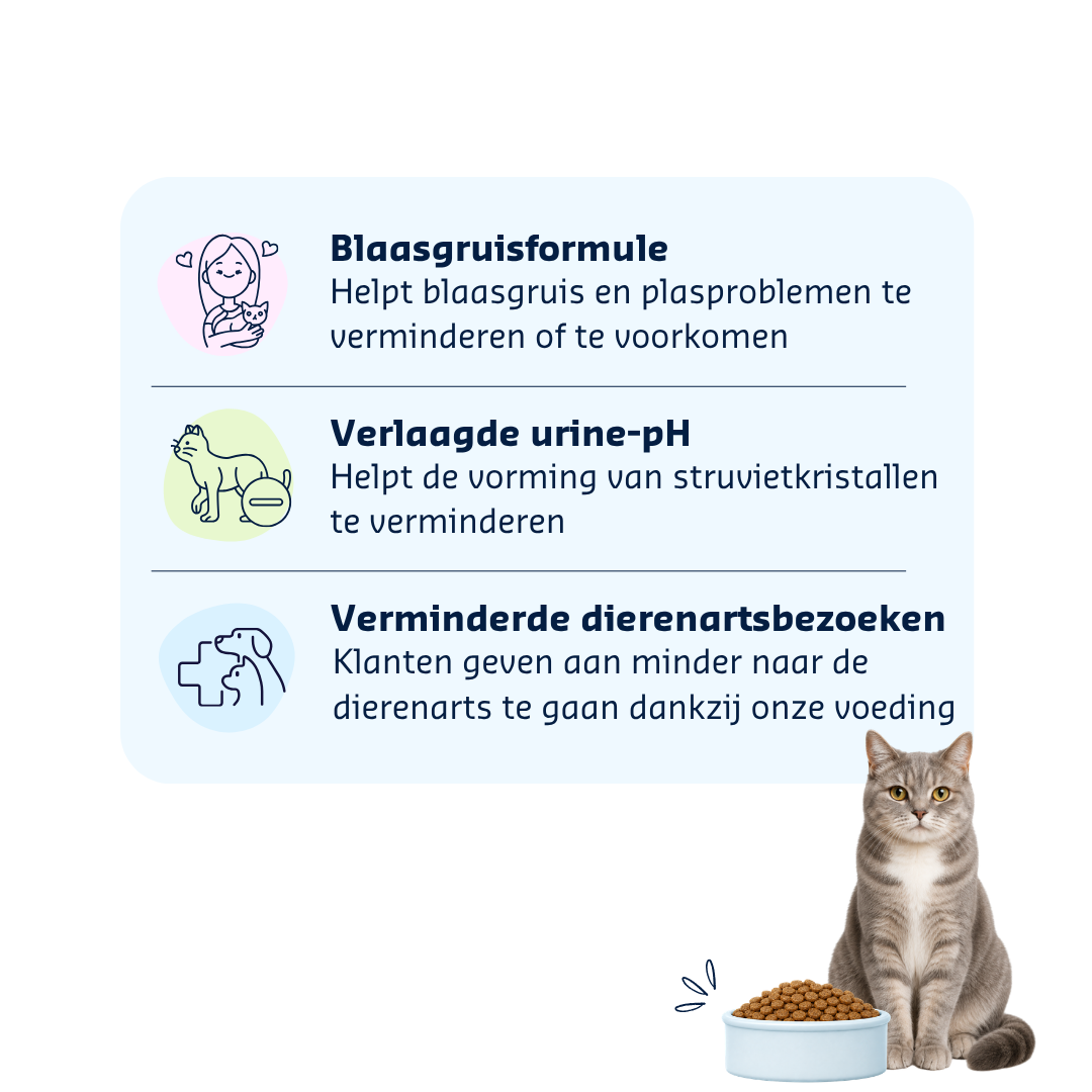 Denkacat Hypo-Struvit