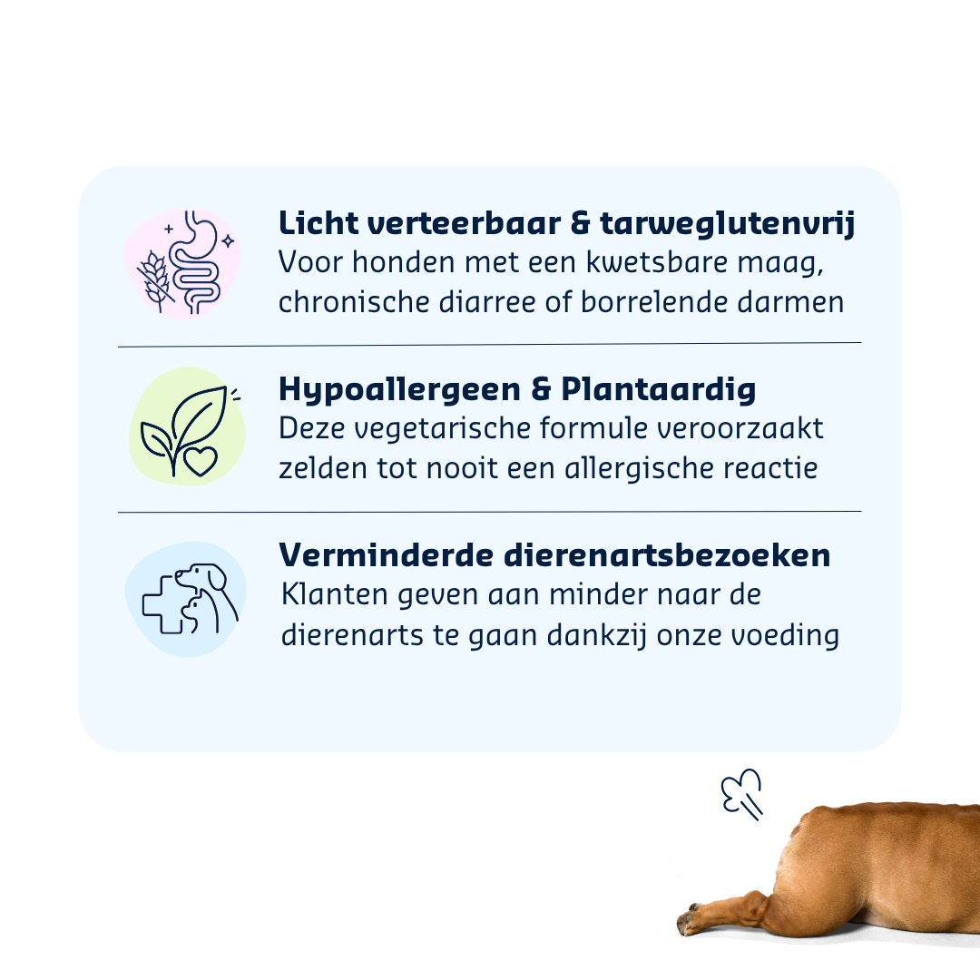 Denkadog Hypo-Sensitive