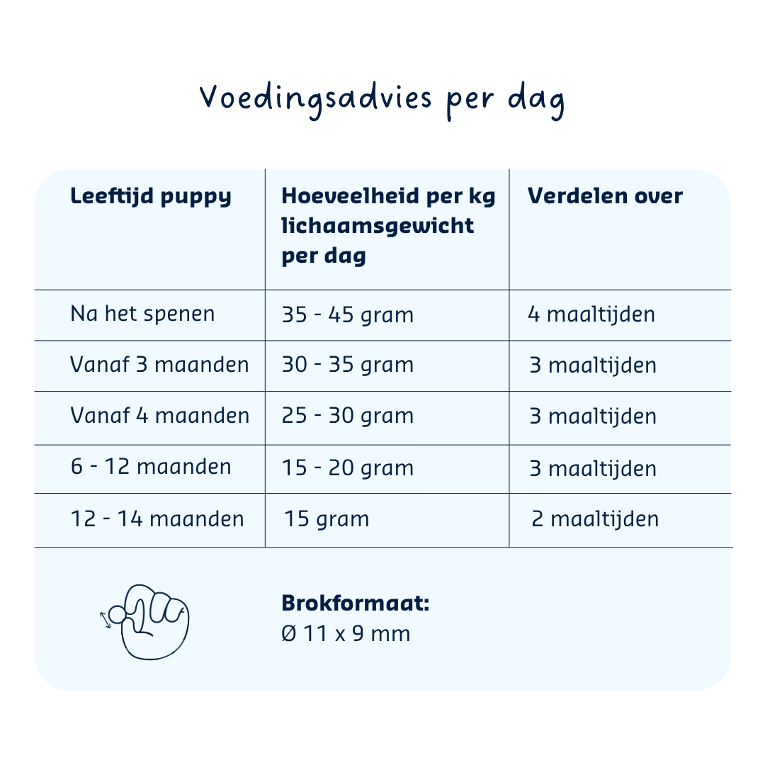 Denkadog Welpe Junior Krokodil
