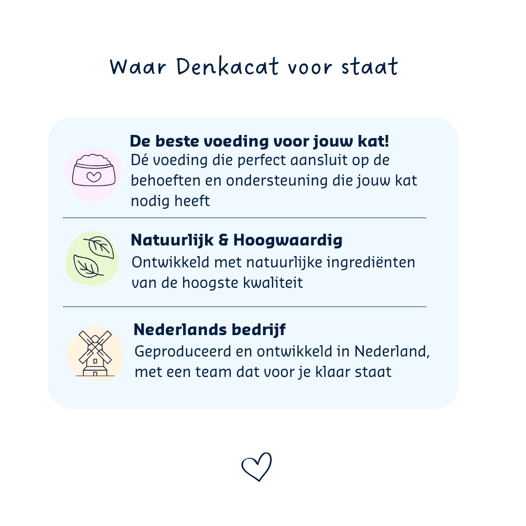 Denkacat Hypo-Struvit