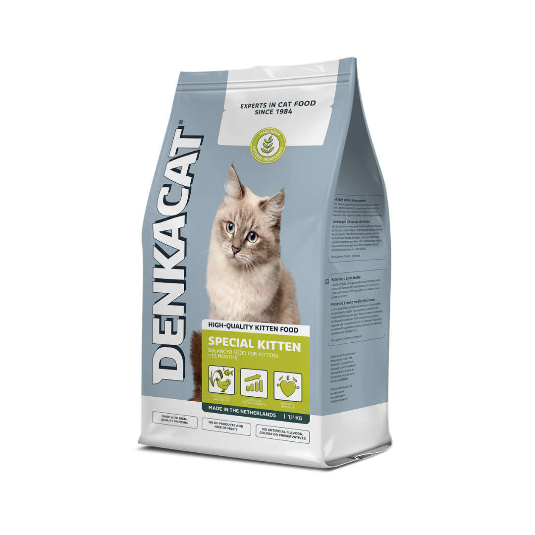 Denkacat Spezialkätzchen