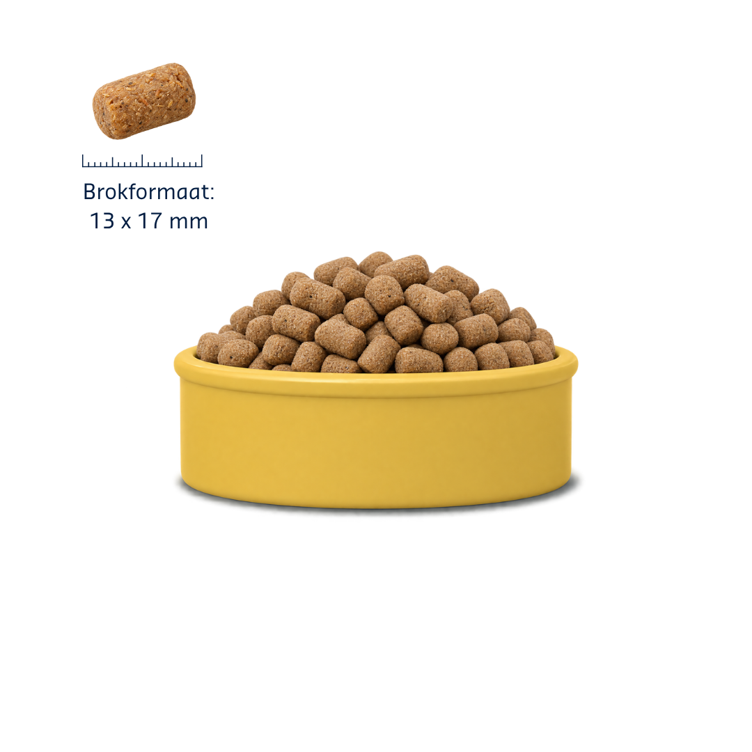 Denkadog Crocque Derma Protect