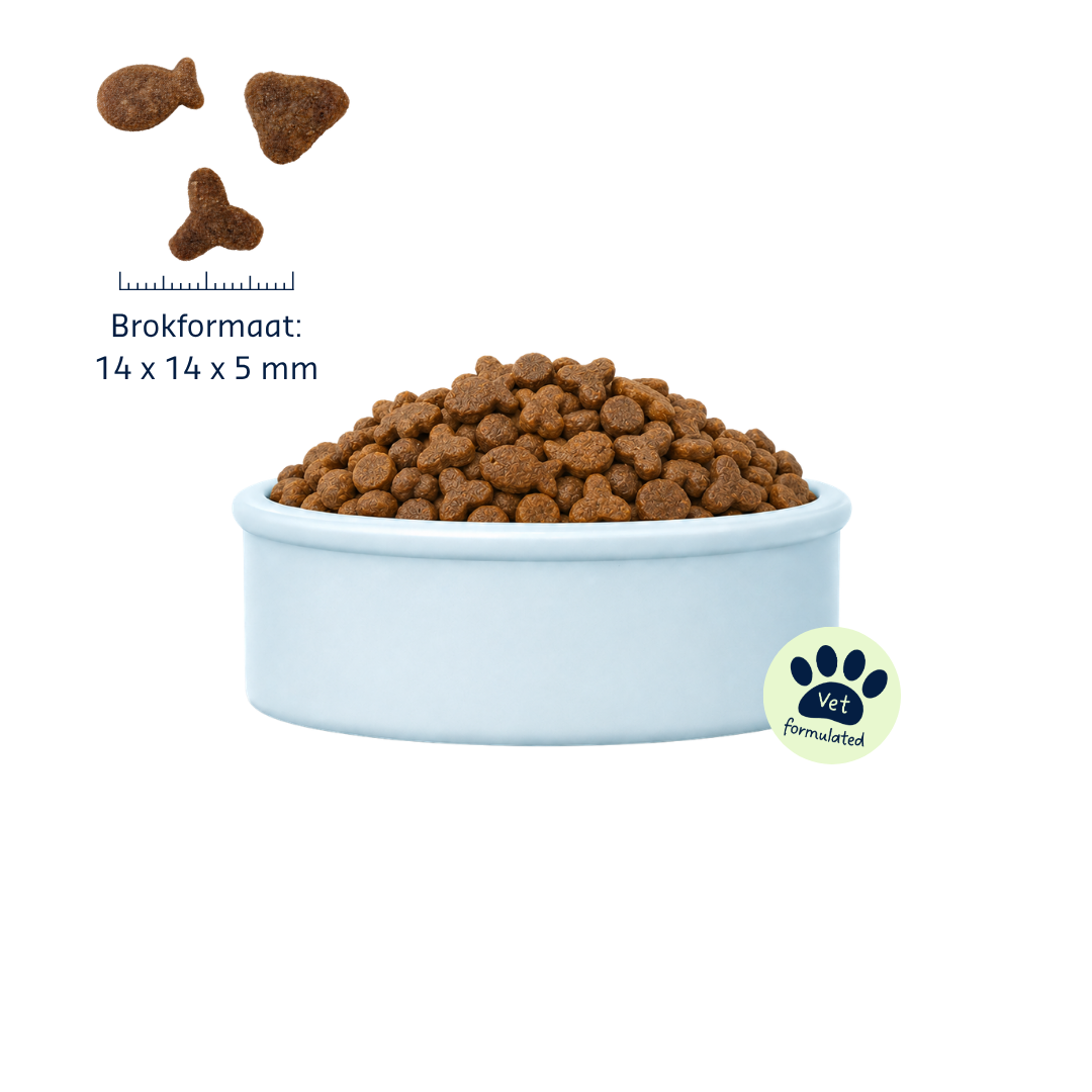 Denkacat Adult Plus