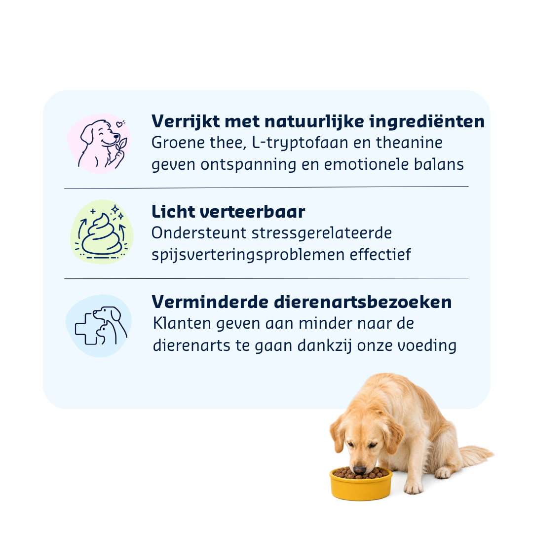 Denkadog Hypo Stress Verdauung