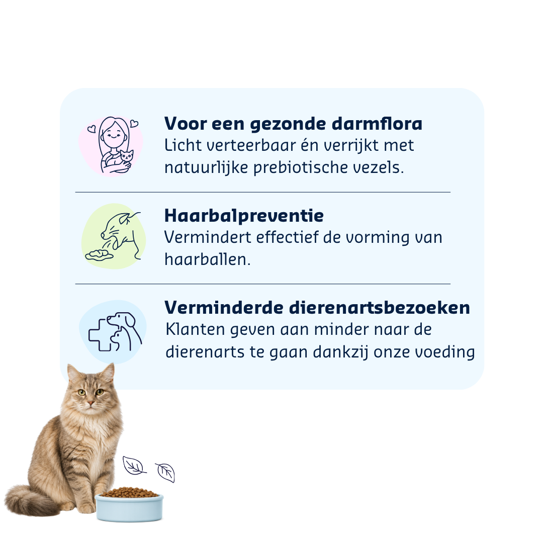 Denkacat Hypo-Sensitive