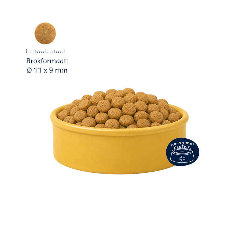 Denkadog Hypo-Sensitive