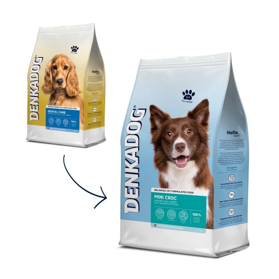 Denkadog Dental Care