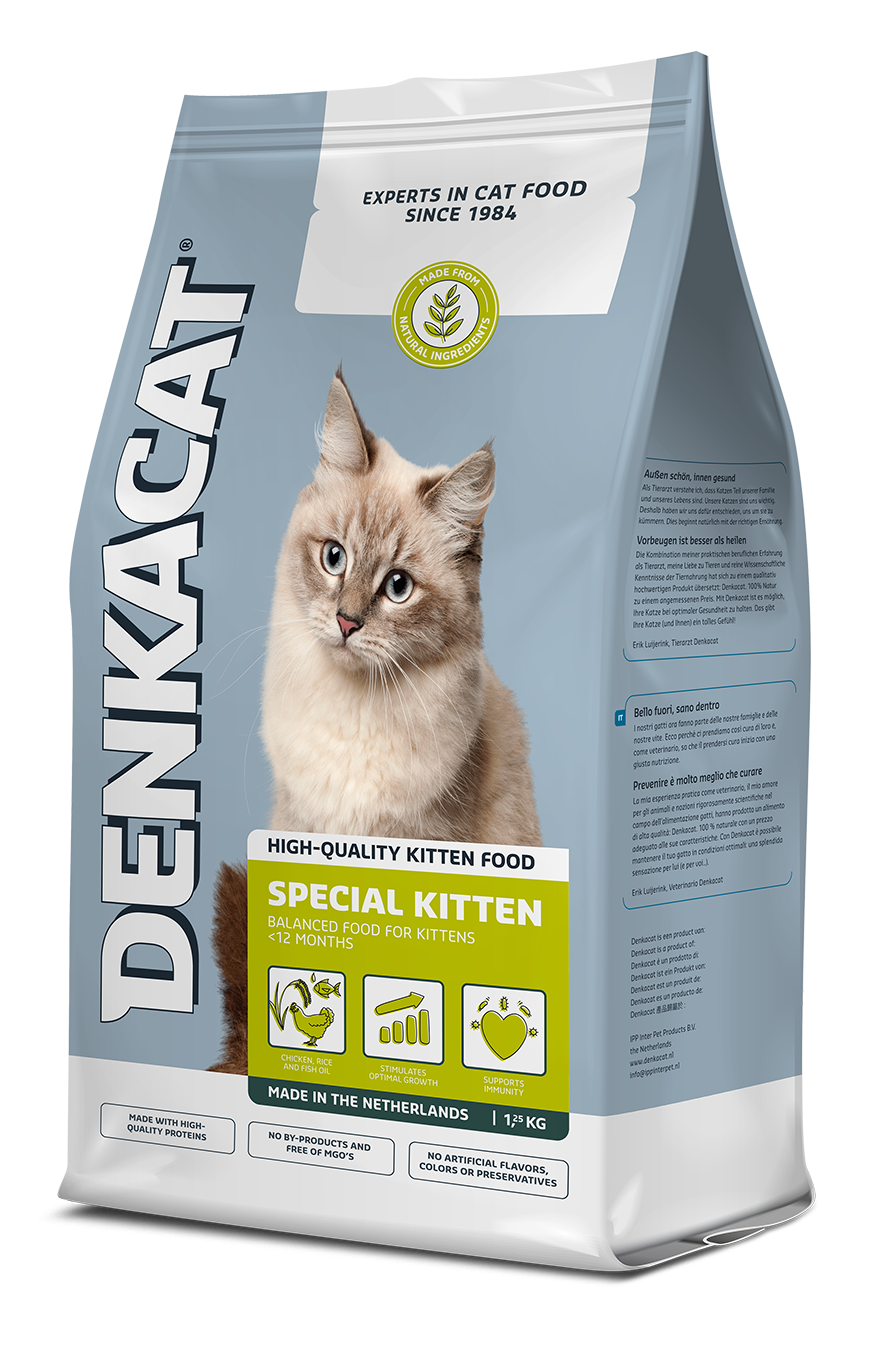 Denkacat Special Kitten
